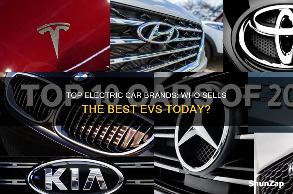 who sales electric cars