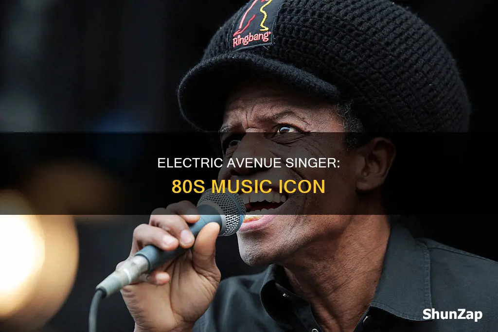 who sang electric avenue in the 80s