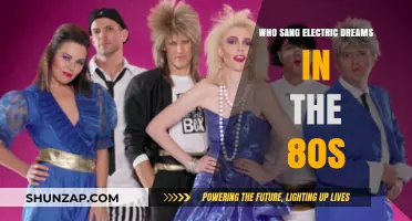 Electric Dreams: The 80s Hit and the Singer