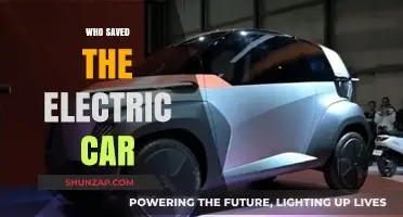 The Unlikely Heroes: Who Saved the Electric Car Revolution?