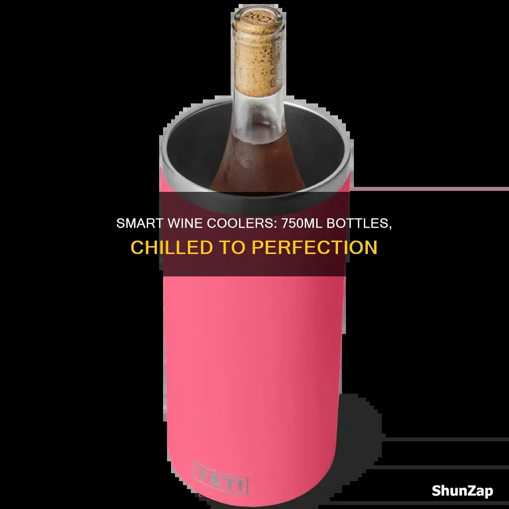 who sells 750ml wine small electric coolers