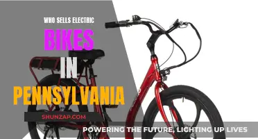 Pennsylvania's Top Electric Bike Retailers: Where to Buy