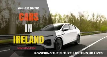 Discover Top Electric Car Dealers in Ireland: Your Eco-Friendly Guide