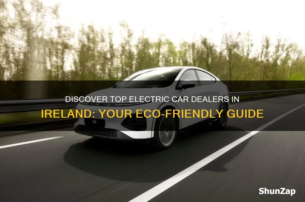 who sells electric cars in ireland