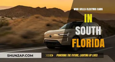 Where to Buy Electric Cars in South Florida: Top Dealers