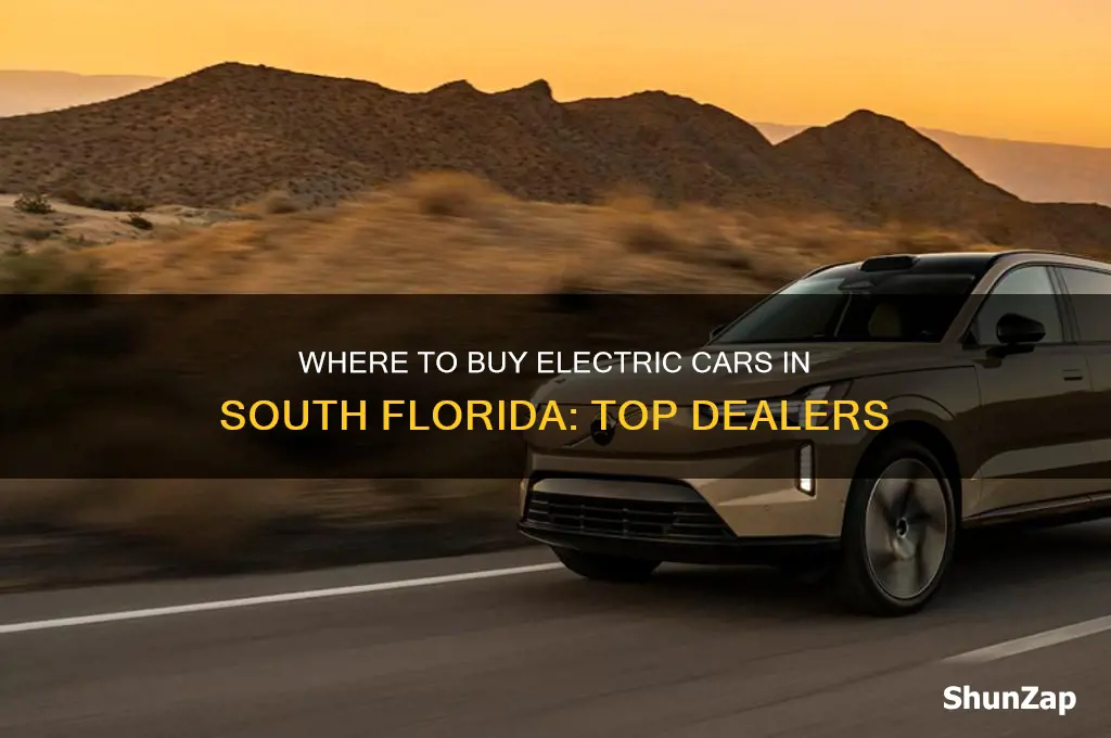 who sells electric cars in south florida