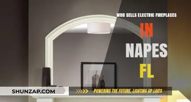 Where to Buy Electric Fireplaces in Naples, Florida?