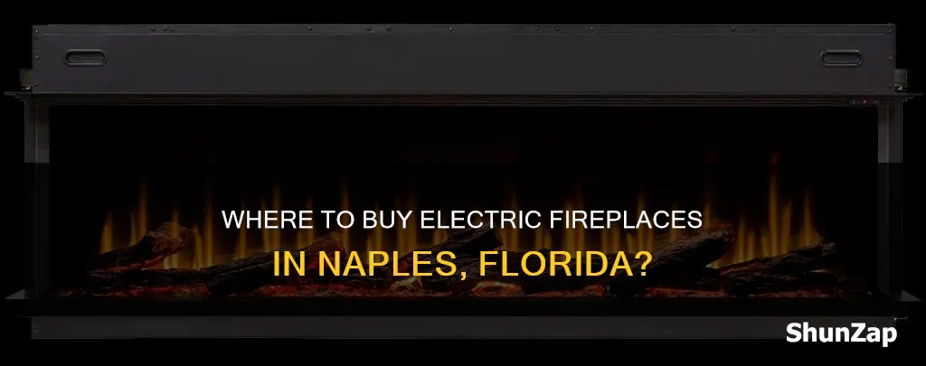 who sells electric fireplaces in napes fl