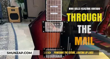 Mail-Order Electric Guitars: Where to Buy?
