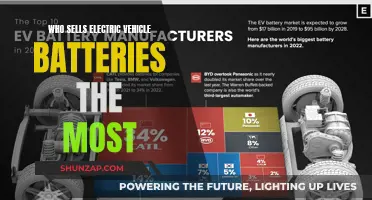 Electric Vehicle Battery Sales: Who's Leading the Charge?