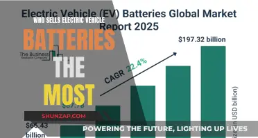 Global Electric Vehicle Battery Sellers: Top Players