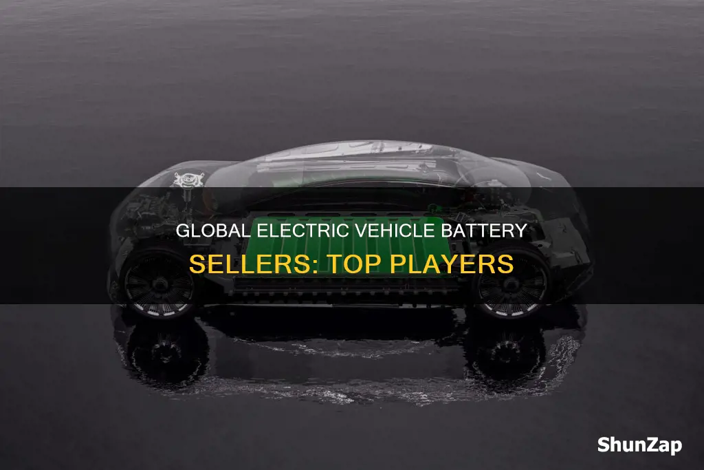 who sells electric vehicle batteries the most