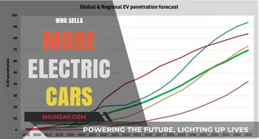 Electric Car Sales Leaders: Who Dominates the Global EV Market?