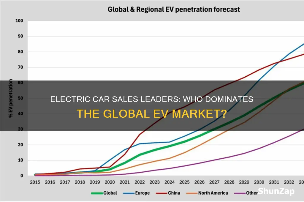 who sells more electric cars