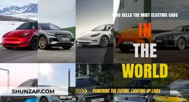 Top Electric Car Sellers: Global Leaders in EV Sales Revealed
