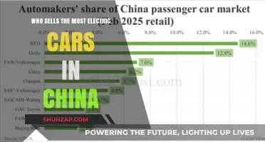 Top Electric Car Sellers in China: Leading the EV Market