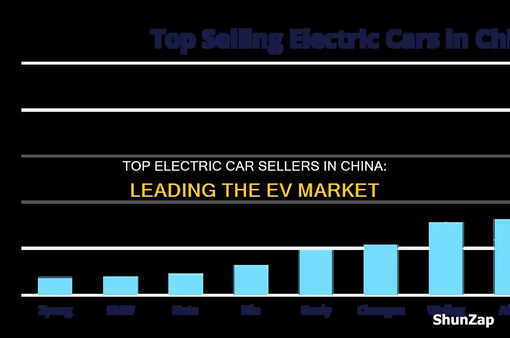 who sells the most electric cars in china