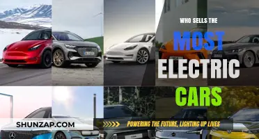 Top Electric Car Sellers: Who Leads the Global EV Market?