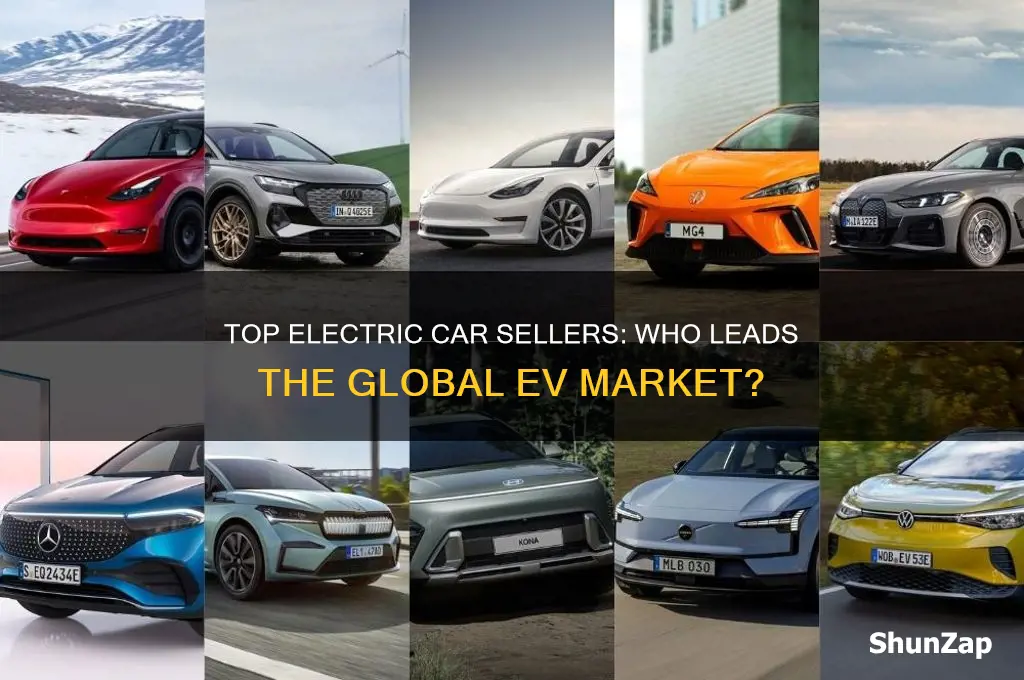 who sells the most electric cars