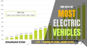 Electric Vehicle Sales Leaders: Who's Dominating the Market?