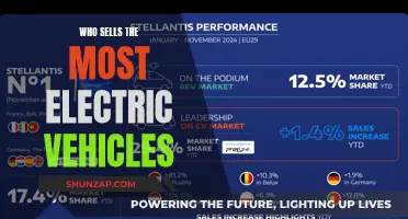The Electric Vehicle Sales Race: Who's Leading?