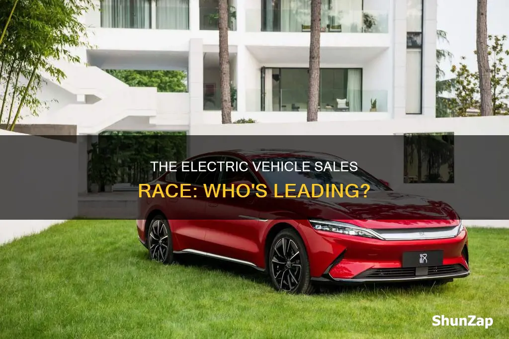 who sells the most electric vehicles