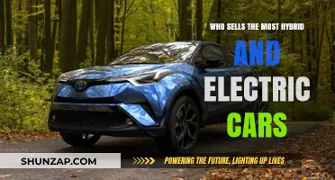 Top Hybrid and Electric Car Sellers: Who Leads the Market?