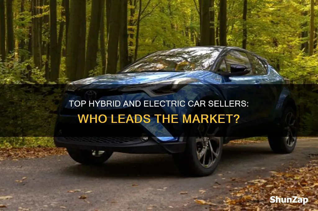 who sells the most hybrid and electric cars