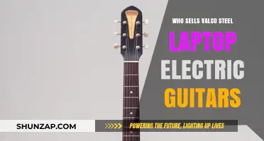 Valco Steel Guitars: Electric Dreams for Musicians