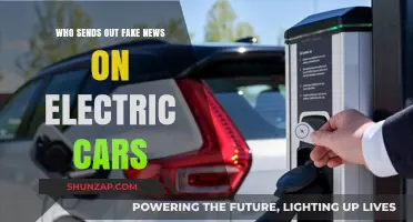 Unmasking the Sources Behind Misinformation on Electric Vehicles