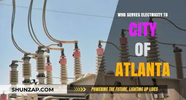 Electricity in Atlanta: Who Powers the City?