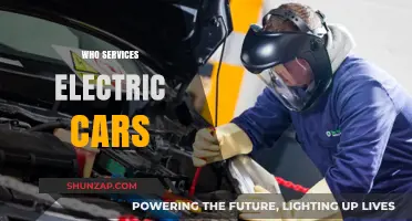 Who Services Electric Cars? Finding the Right EV Maintenance Provider