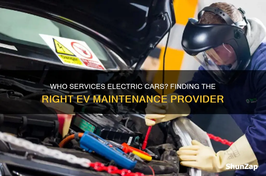 who services electric cars