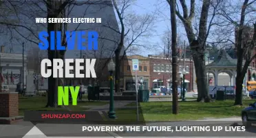 Electricians in Silver Creek, NY: Who Services This Area?