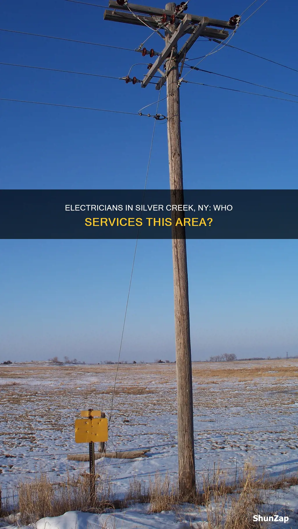 who services electric in silver creek ny