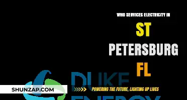 Electricity Service Providers in St. Petersburg, Florida