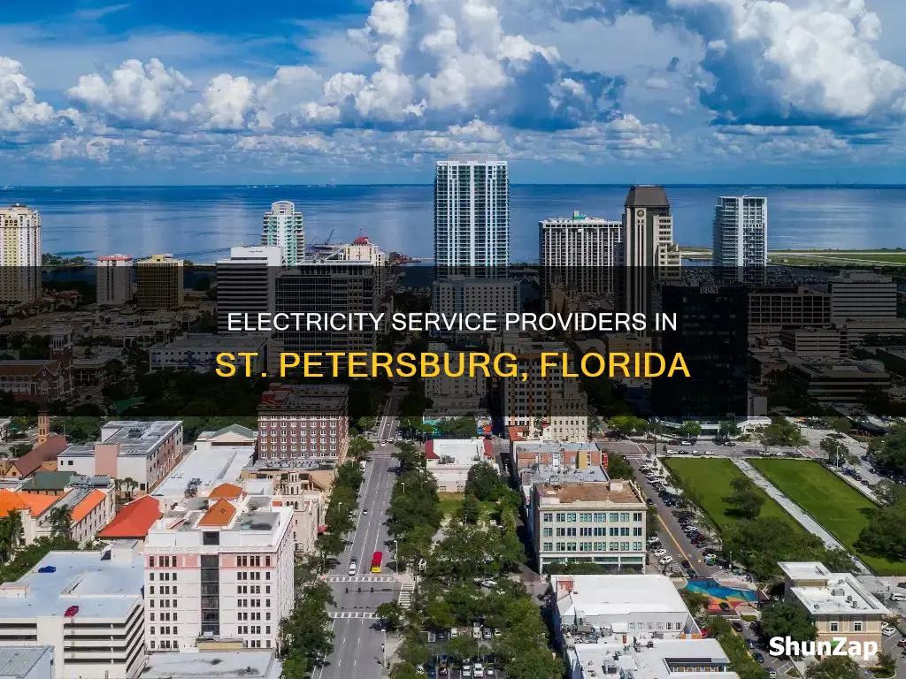 who services electricity in st petersburg fl