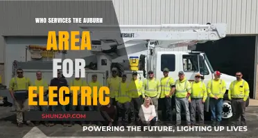 Electricians in Auburn: Who Services the Area?