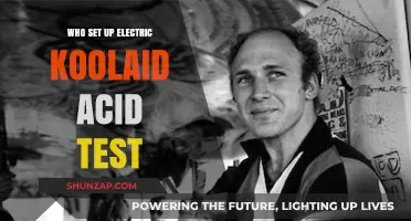 The Electric Kool-Aid Acid Test: Who Made it Happen?