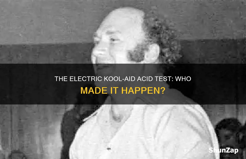who set up electric koolaid acid test