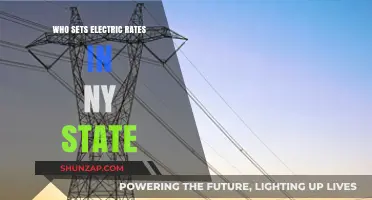 Electric Rates in New York: Who's in Control?