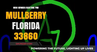 Electric Service Providers in Mulberry, Florida: Who's Responsible?