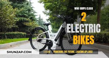 Top Shippers for Class 2 Electric Bikes