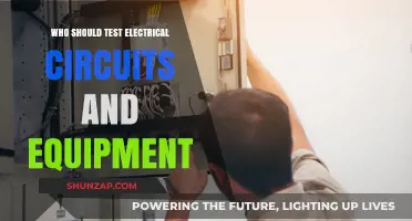 Testing Electrical Circuits: Who Should Do It?