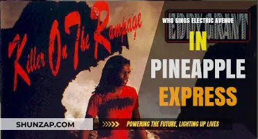 Electric Avenue Singer in Pineapple Express