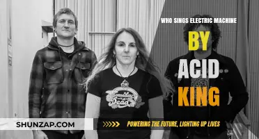 Acid King's Electric Machine: Who Sings?