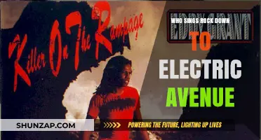 Electric Avenue's Singer: A Musical Journey