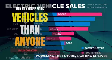 The Electric Vehicle Sales Leader: A Global Comparison