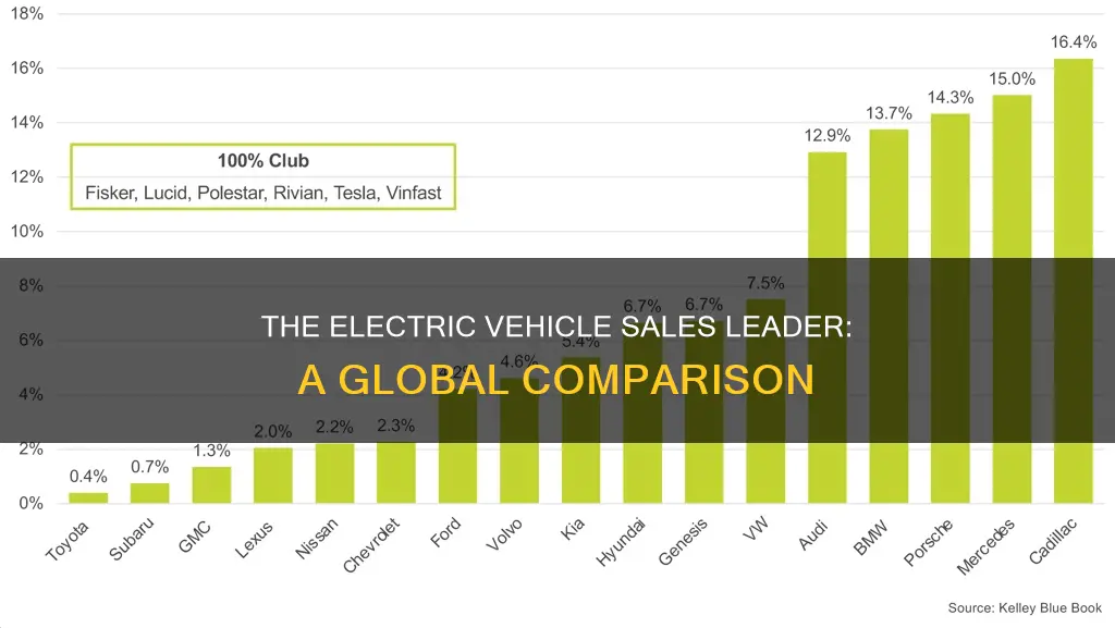 who sold more electric vehicles than anyone