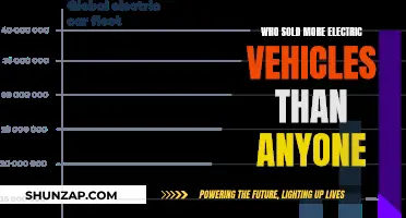 Electric Vehicle Sales: Who's Leading the Global Race?